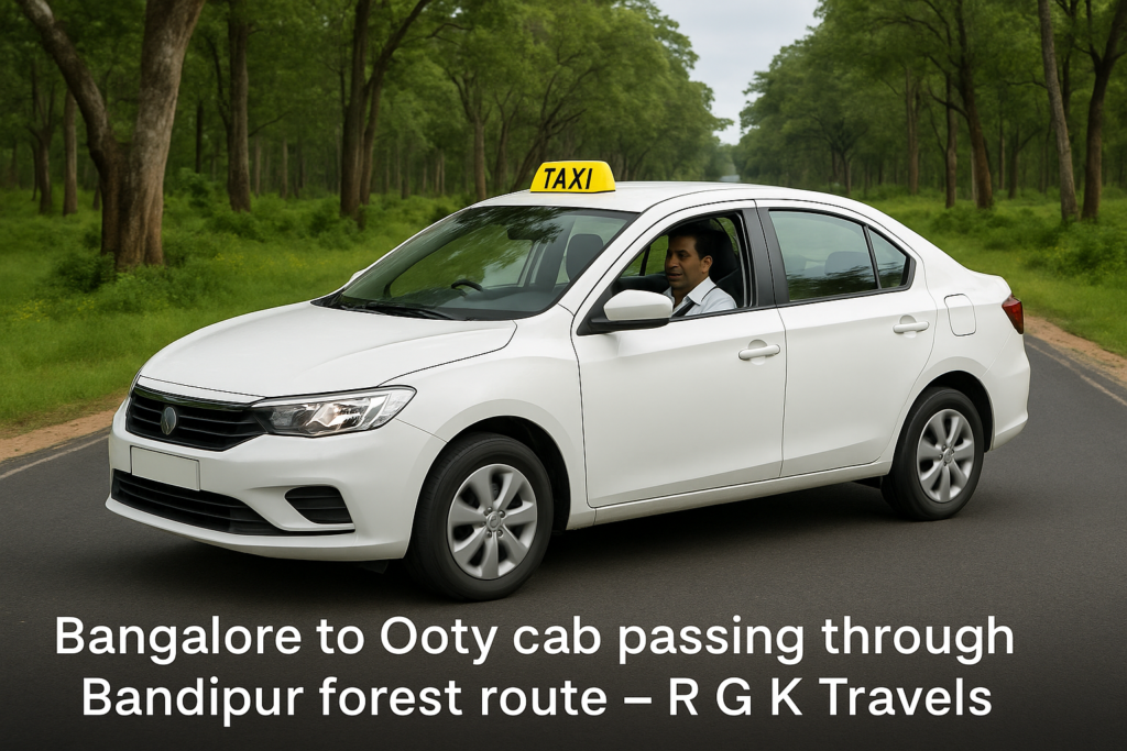 Bangalore to Ooty cab passing through Bandipur forest route